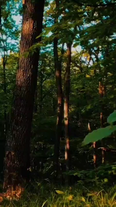 دعای روز سوم رمضان - ابوذر بیوکافی