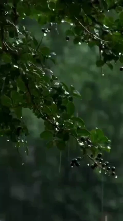 دعای روز چهارم رمضان - ابوذر بیوکافی