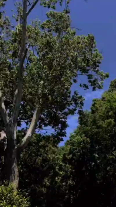 دعای روز پنجم رمضان - ابوذر بیوکافی