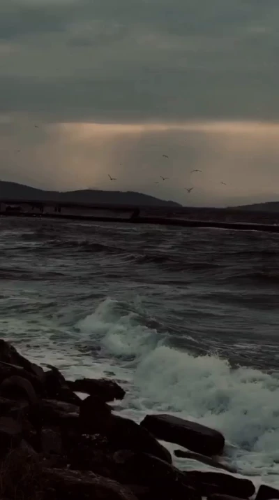 دعای روز هفتم ماه رمضان - ابوذر بیوکافی