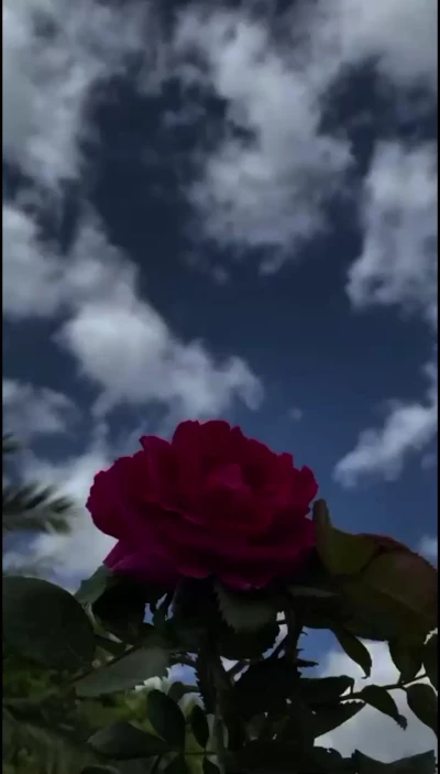 دعای روز هفدهم ماه رمضان - ابوذر بیوکافی