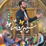 شبیه پروانه ها