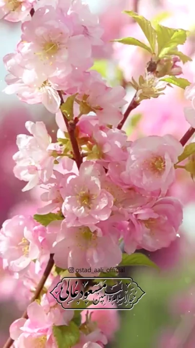 نوروز_حقیقی سلام بر امام زمان (عج)