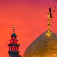 عمار حسن