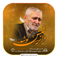 زائر شش گوشه