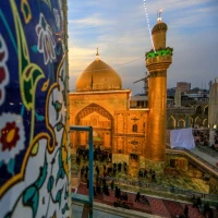 امیرحسین میری