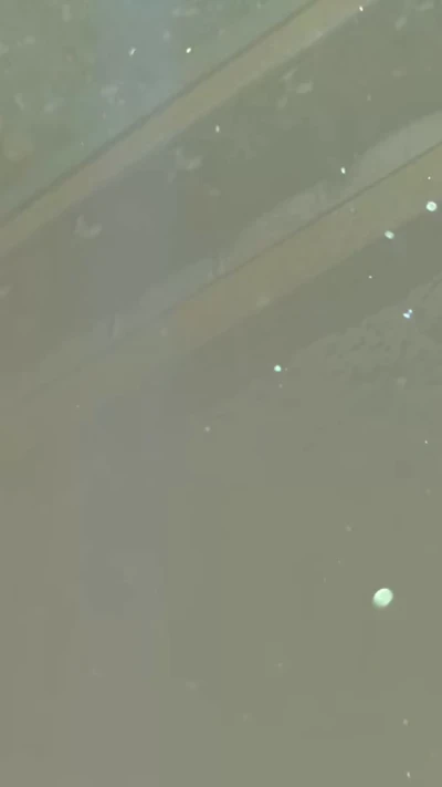 توهمونی که