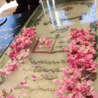 محمد فتحی