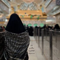 امیرعباس سرلک