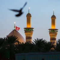 فاطمهعلیمددی