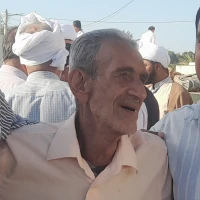 مجتبی فرخی زاده