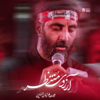 آرزوی منتظر