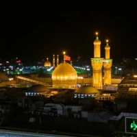 محمد مهدی رفیعی