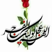 سید امیر مهدی هاشمی