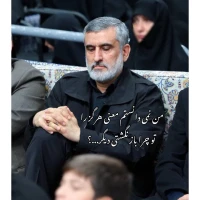 خادِمَـ‌المَھدے