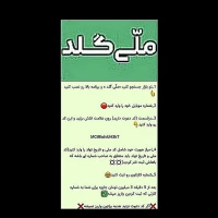 پروفایلم چک کنید