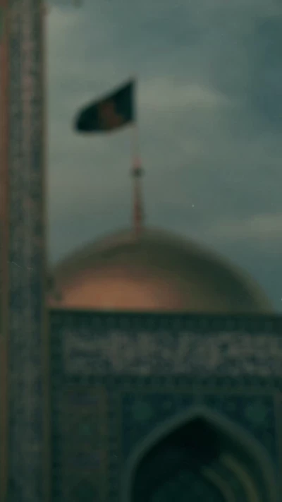 به حال ما نظری کن