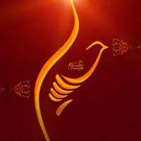 زهرا باقریان