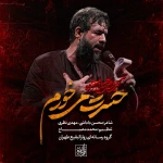 حسرت میخورم