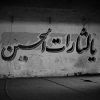 امیرعباس سرلک